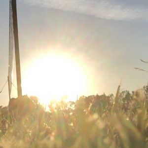 Meet your Posher, Arlene